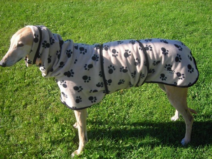 Beige Dog Print